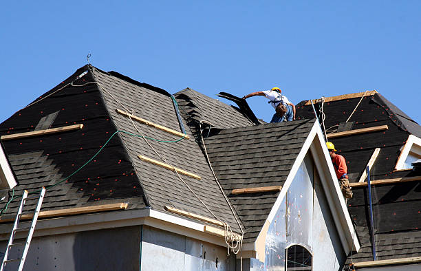 Best Roof Moss and Algae Removal  in Withamsville, OH